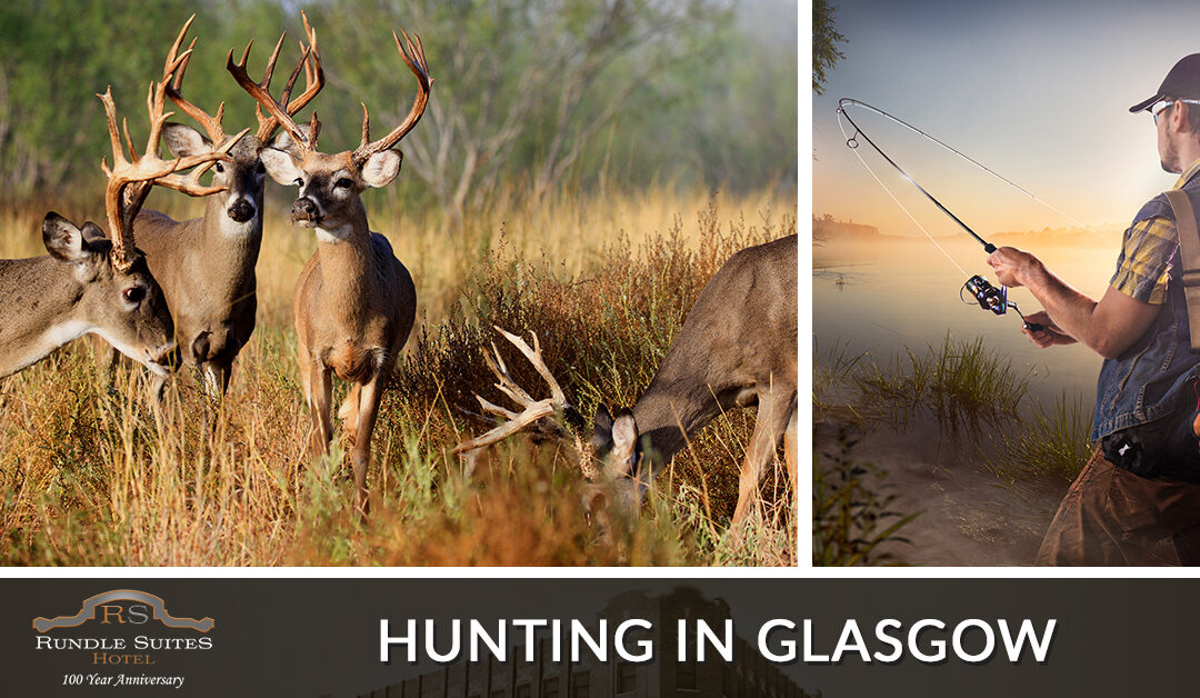 Hunting in Glasgow